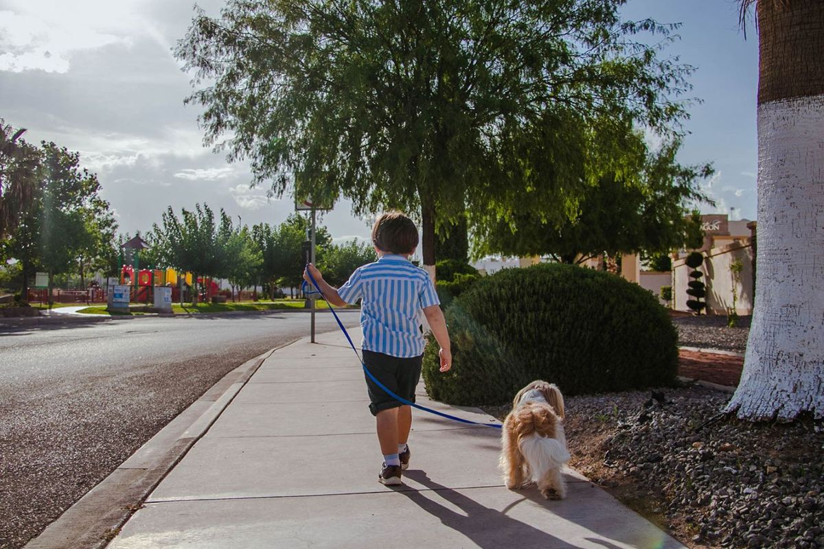 Niño paseando a su perro en Monteverde